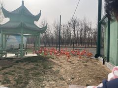 -秦皇岛野生动物园