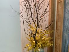-承启堂中医馆·推拿·针灸(成华馆)