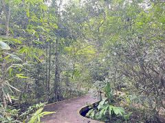 -海南热带雨林国家公园吊罗山景区