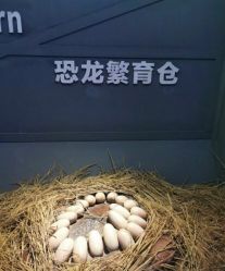 -恐龙探索乐园(磁器口店)