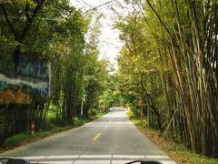 -红山村