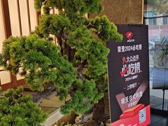 -桃夭日式料理(国信店)