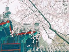 -宣武艺园