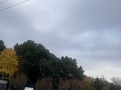 -圩墩遗址公园