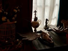 -雪灵魔法世界SHELLY’S TAROT(大良桂畔里店)