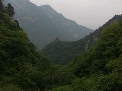-太平万花山景区