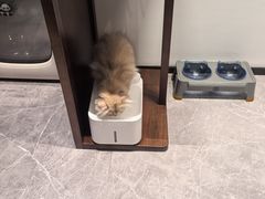 -博特宠物医院24h犬猫全科.骨科·异宠
