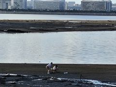 -集美学村
