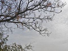 -嘉北郊野公园