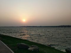 -丁香湖公园
