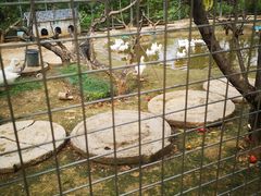 -河北村民俗体验园