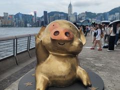 -星光大道