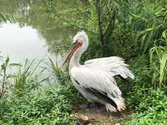 -长兴太湖图影湿地文化园