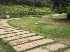 -秀丽东方