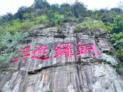 -铁山坪森林公园