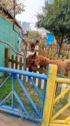 -三分地生态园·儿童乐园