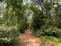 -长春市南湖公园