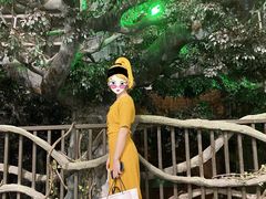 -杭州浪浪浪水公园