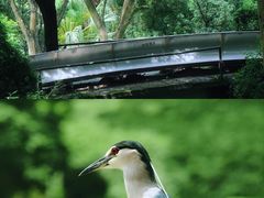 -厦门悦华酒店