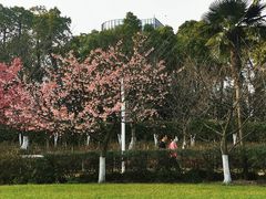 -大宁公园