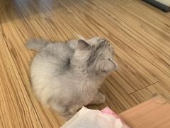 -宠颐生动物医院·心脏科·保险定点(锦阳分院)