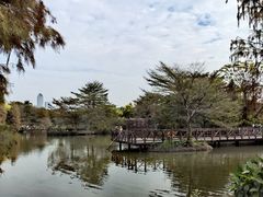 -海珠湖公园