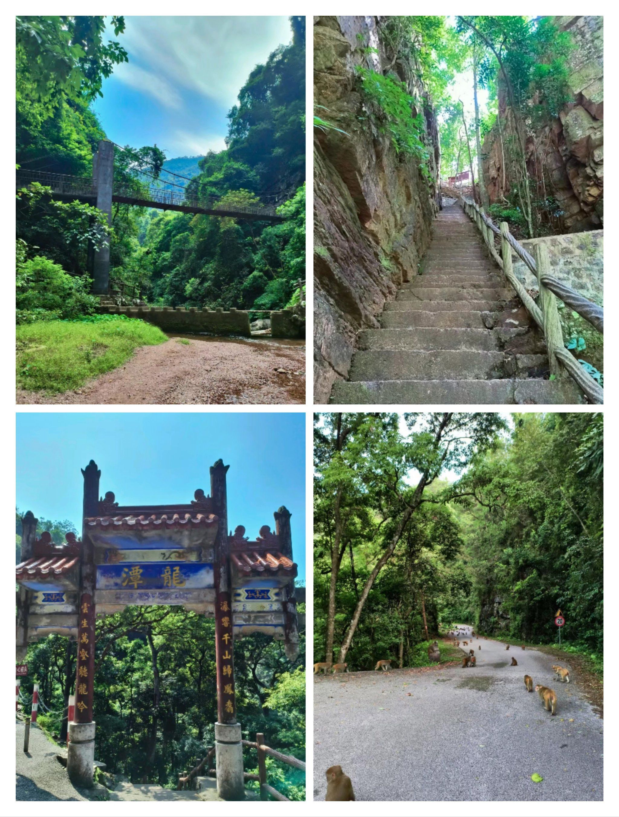 龙潭国家森林公园