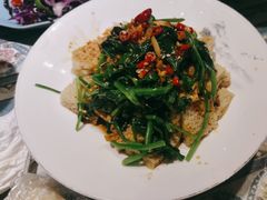 菠菜面筋-阿吾丹的烤羊·新疆菜·抓饭·拌面(乌尔禾店)