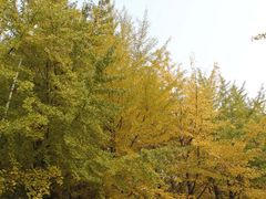 -辽宁大学(崇山校区)