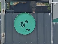 -元鼎宝驴香·全驴宴(江宁店)