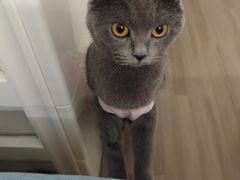 -达爱动物医院·犬猫分区·CT·复杂眼科(远洋山水分院)
