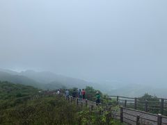 -大围山国家森林公园