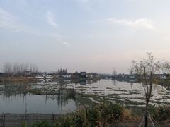 -溱湖国家湿地公园