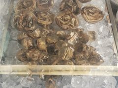 土笋冻-铭聚章鱼土笋冻(松柏店)