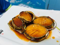红烧鲍鱼-来之顺海鲜菜馆·青岛菜(栈桥店)