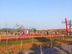 -芒洲湿地公园