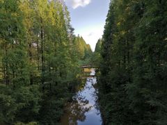 -黄海国家森林公园