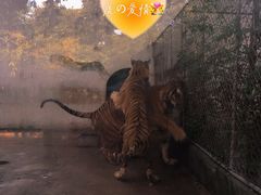 -南昌动物园