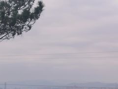 -仙岳公园