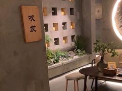 -施奈儿.洗头頭療.按摩SPA.采耳(上梅林店)