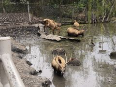 -溱湖国家湿地公园