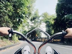 -圣淘沙天际线斜坡滑车