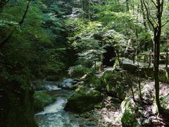 -牛背梁国家森林公园