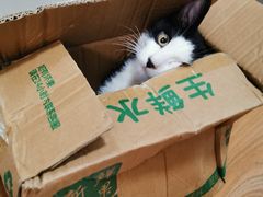 -联合动物医院(光谷诊疗中心)
