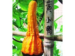 -恩格贝生态旅游区