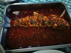 豆瓣鱼-无味饭店(九眼桥商业文化广场店)