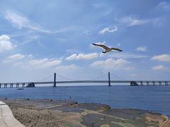 -星海广场