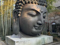 -杭州植物园