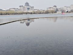 -莲花池公园