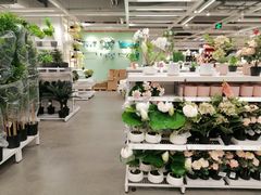 -宜家家居(哈尔滨商场店)